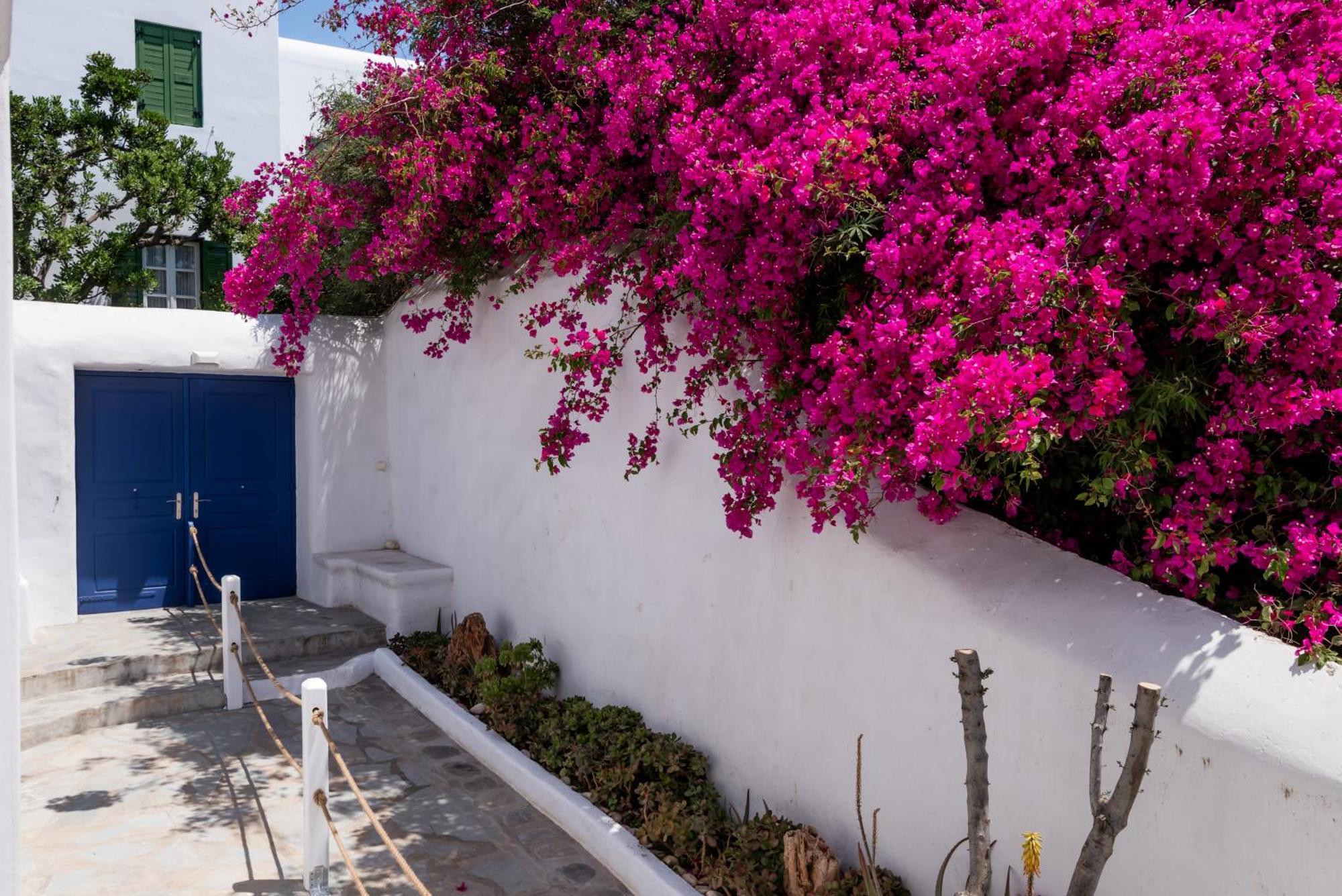 Olive Tree Mykonos Town Semi-Basement Apartment Bagian luar foto